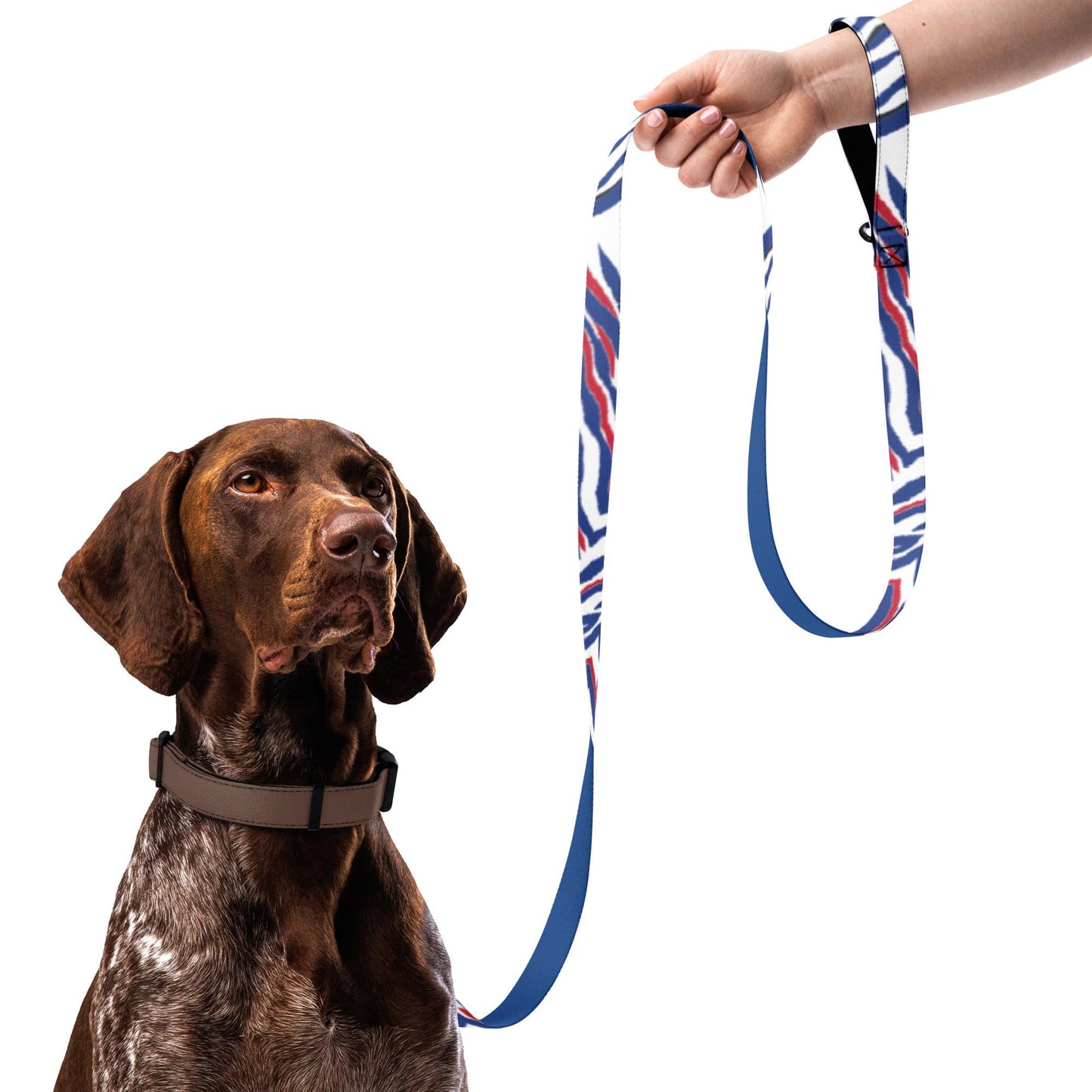 Pet leash